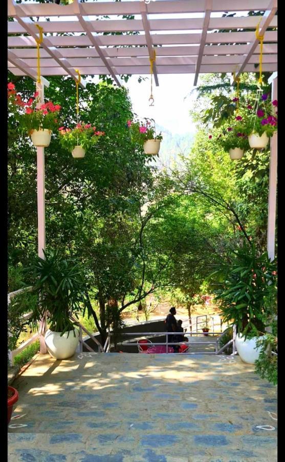 Aaroham Resort Shimla ! Luxury Cottage By Aamod Group Kültér fotó