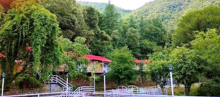 Aaroham Resort Shimla ! Luxury Cottage By Aamod Group Kültér fotó