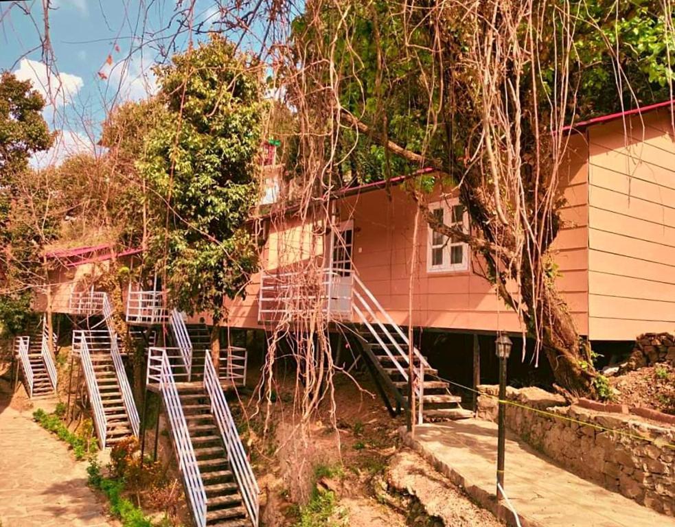 Aaroham Resort Shimla ! Luxury Cottage By Aamod Group Kültér fotó