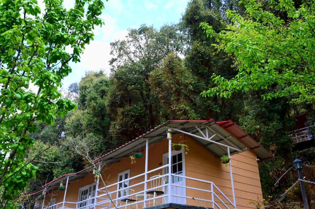 Aaroham Resort Shimla ! Luxury Cottage By Aamod Group Kültér fotó